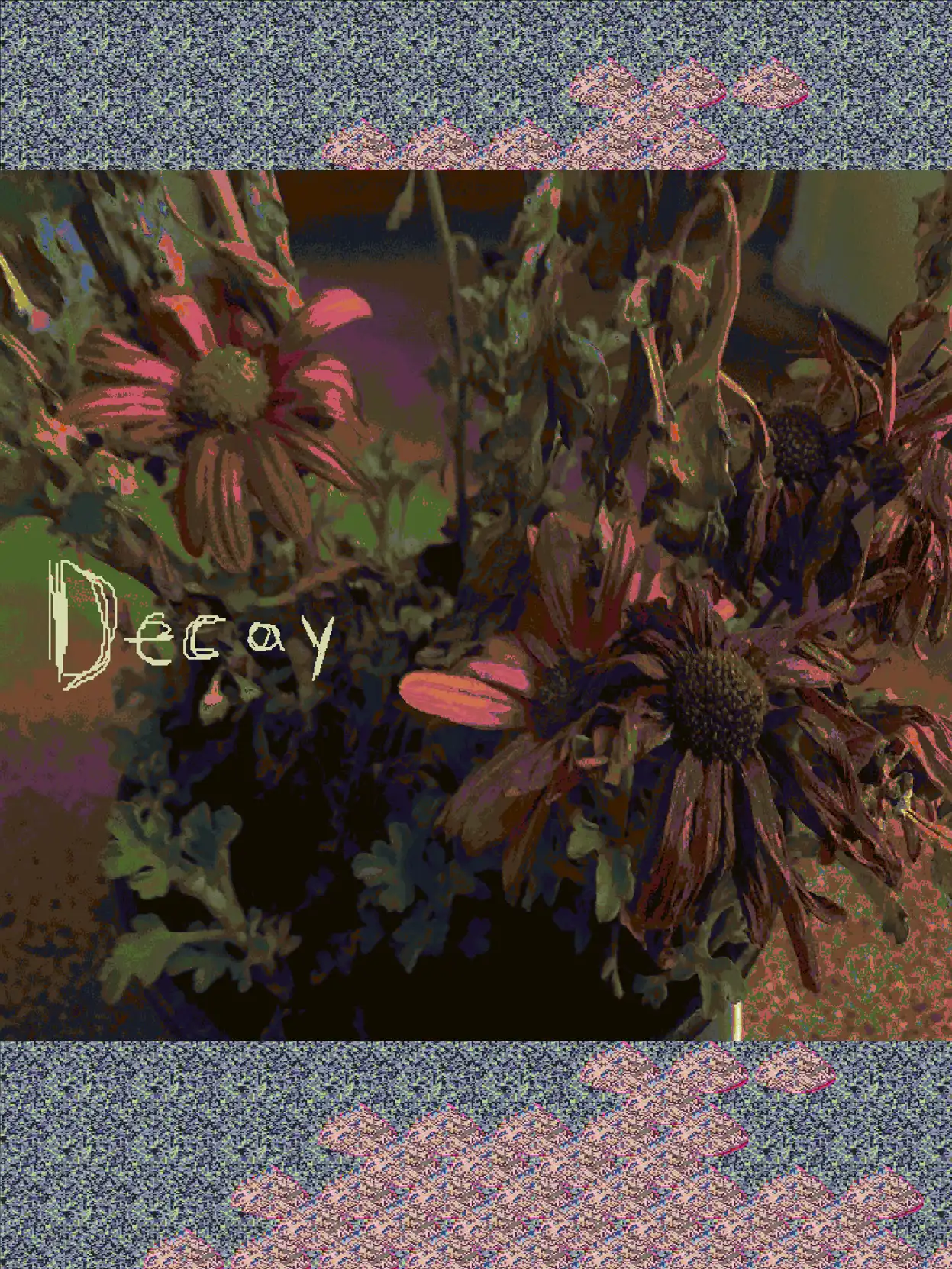 Decay cover