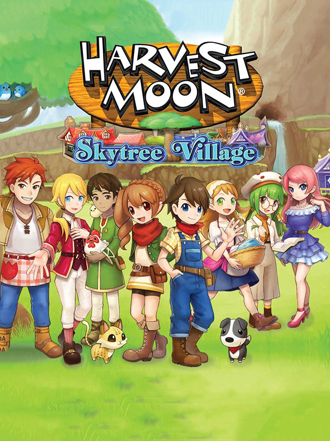 Harvest Moon: Skytree Village cover