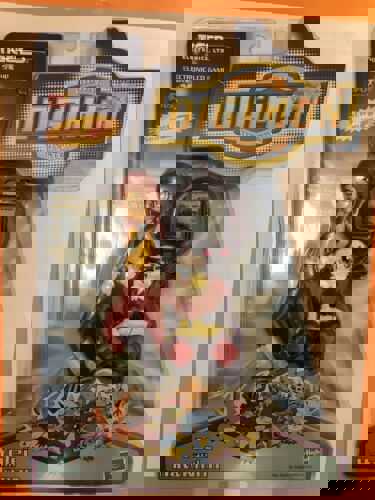 Digimon Yolei and Hawkmon cover