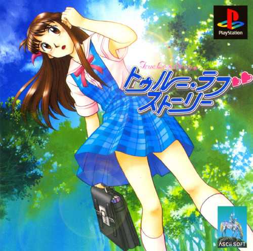 True Love Story cover