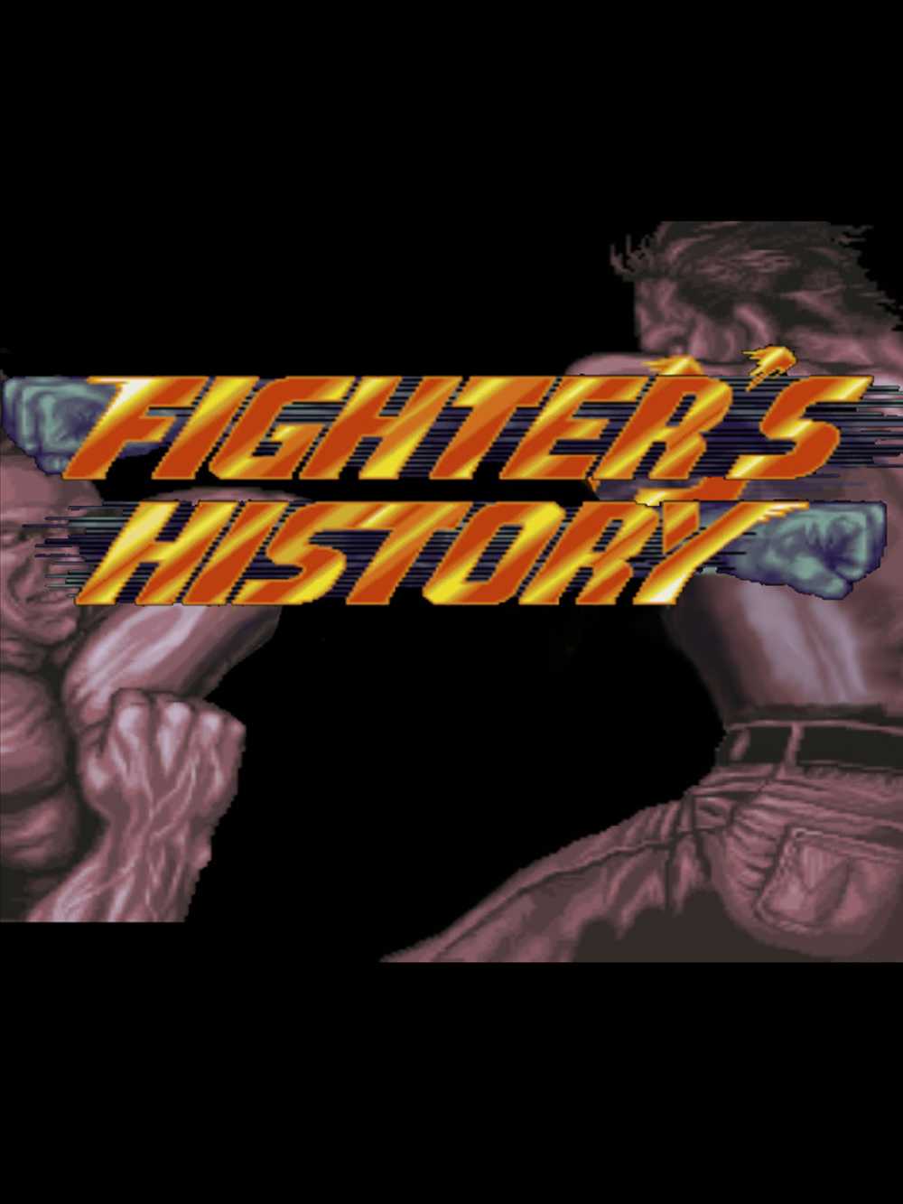 Johnny Turbo's Arcade: Fighter's History cover