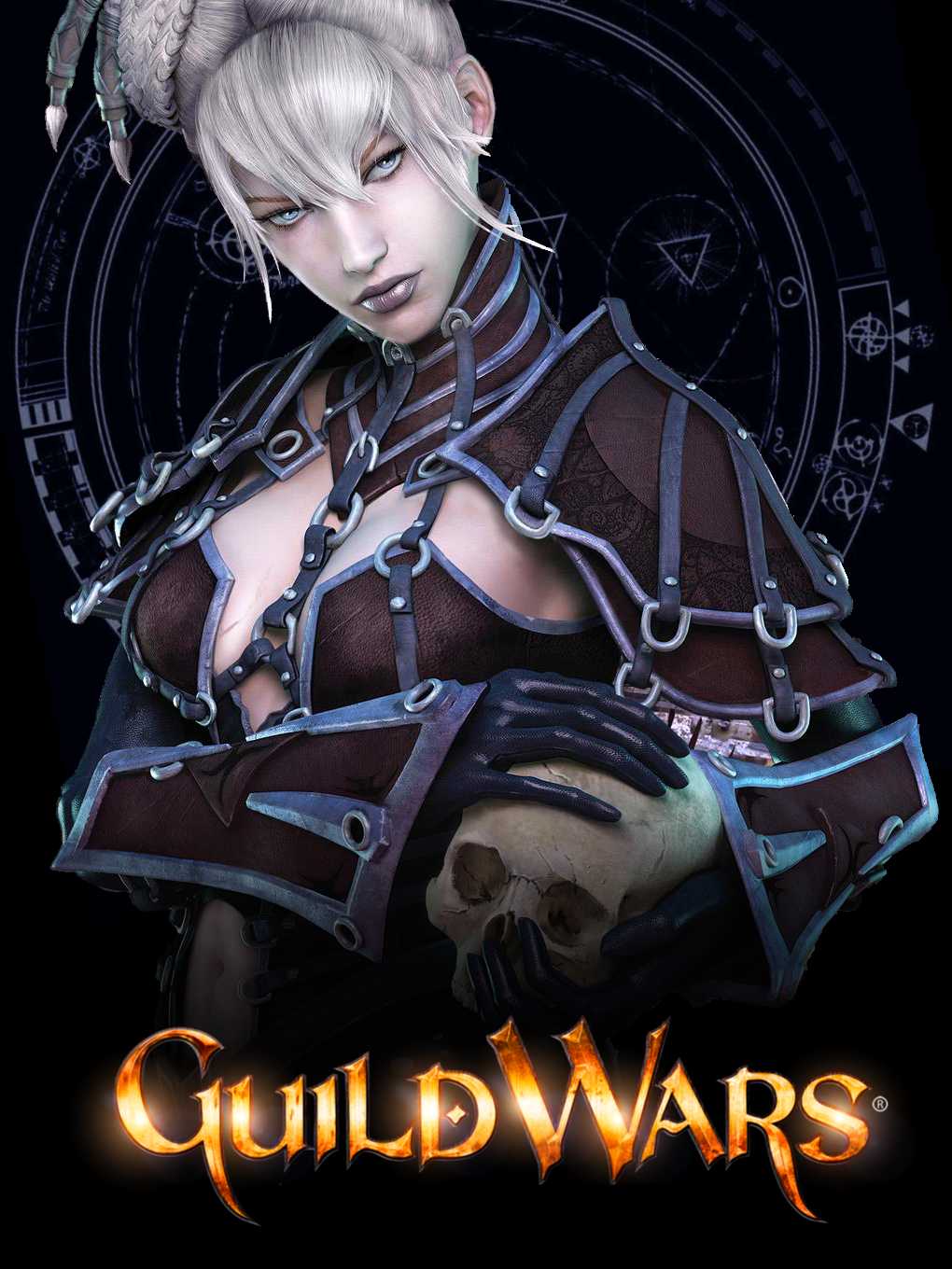 Guild Wars: Collector's Edition cover