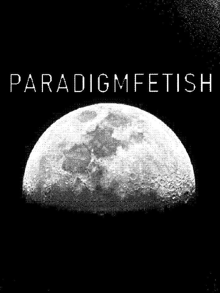 Paradigmfetish cover