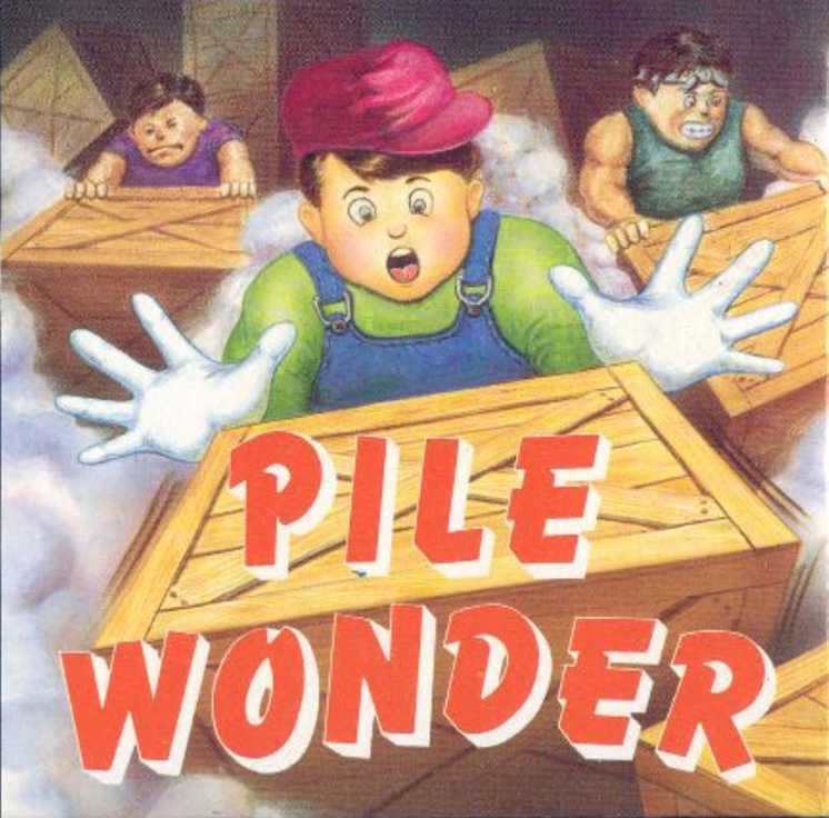 Pile Wonder cover