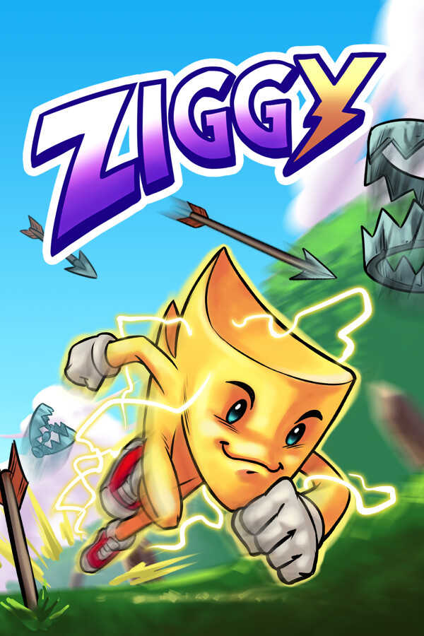 Ziggy cover