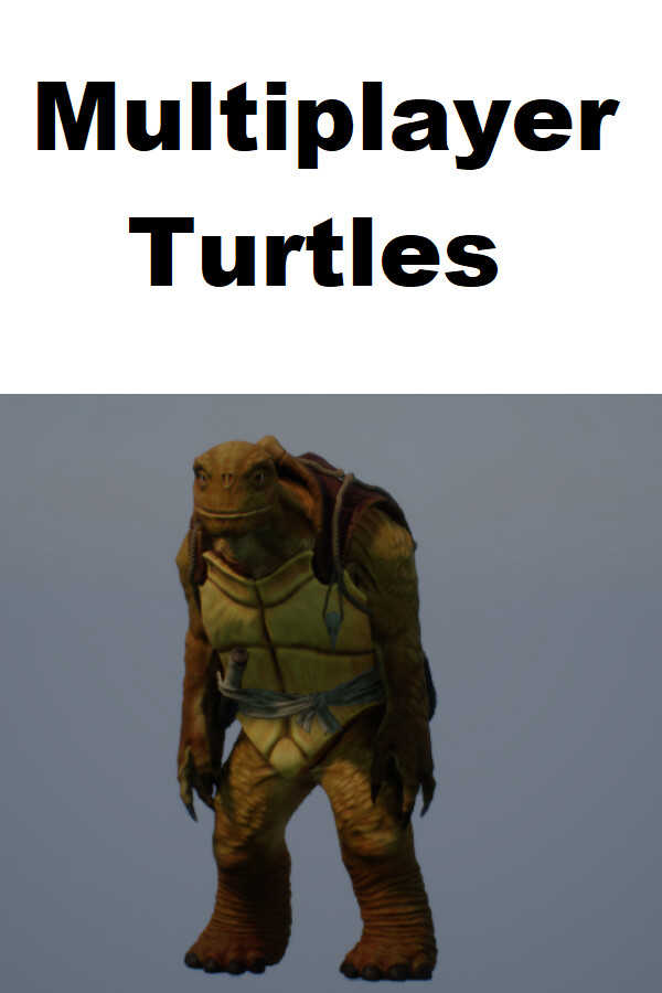 Multiplayer Turtles cover