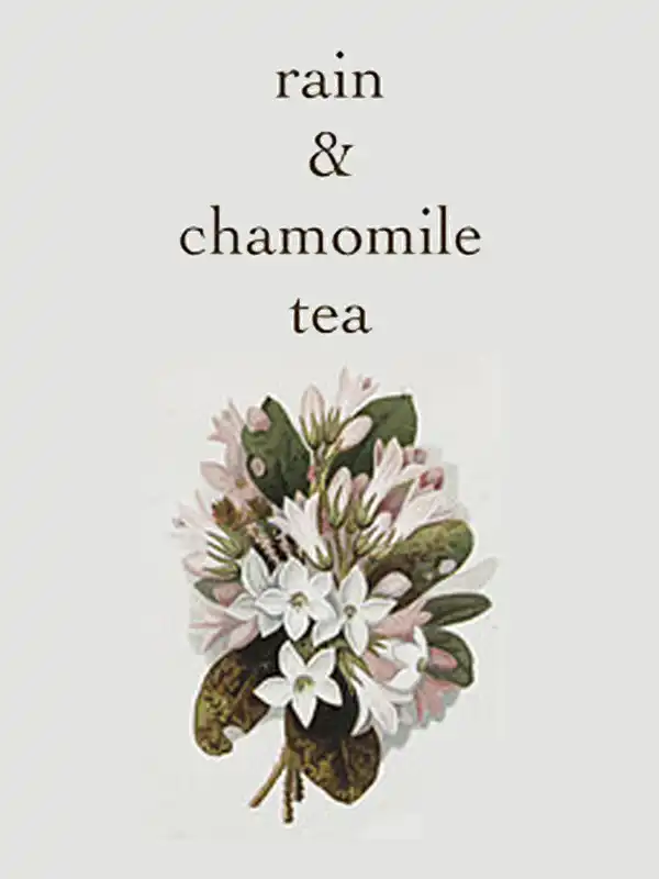 Rain & Chamomile Tea cover