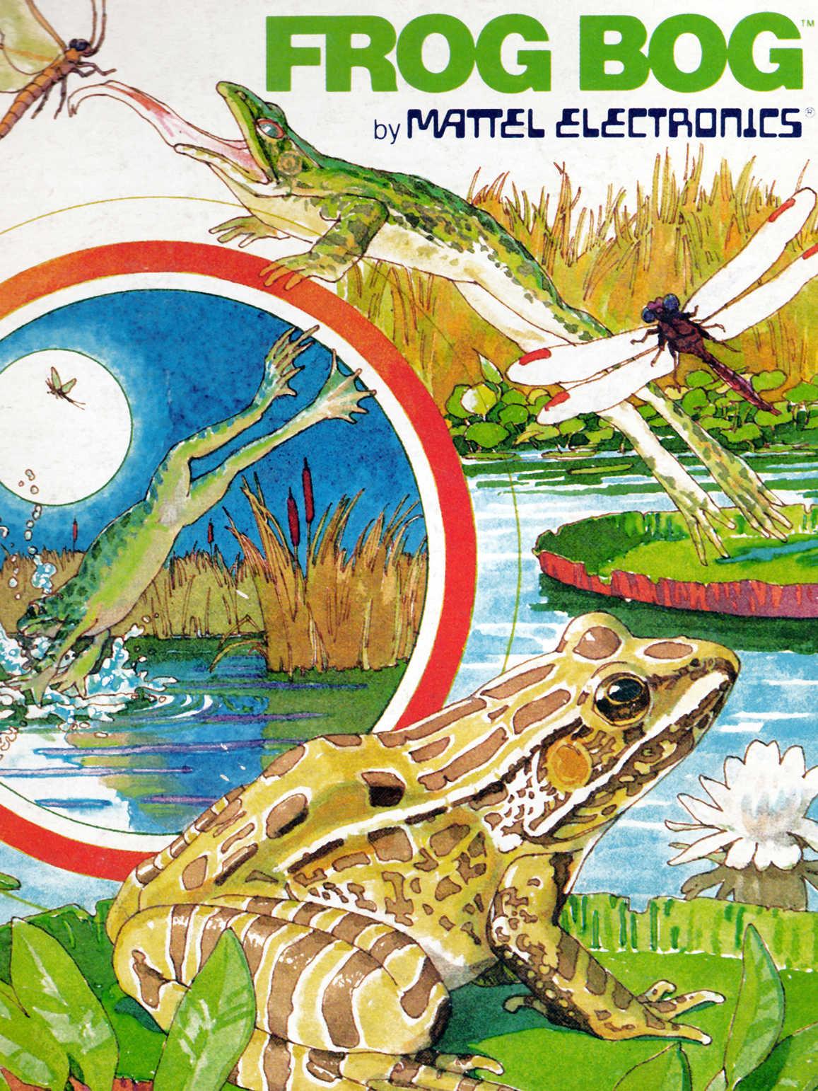 Frog Bog cover