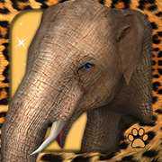 Virtual Pet Elephant cover