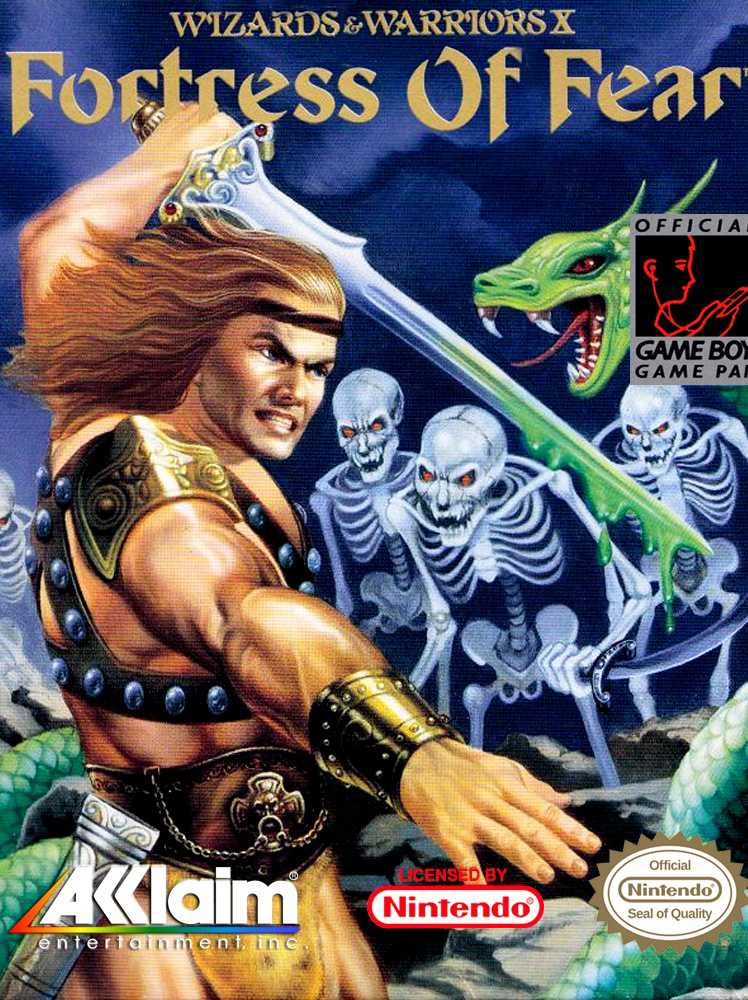 Wizards & Warriors X: Fortress of Fear cover