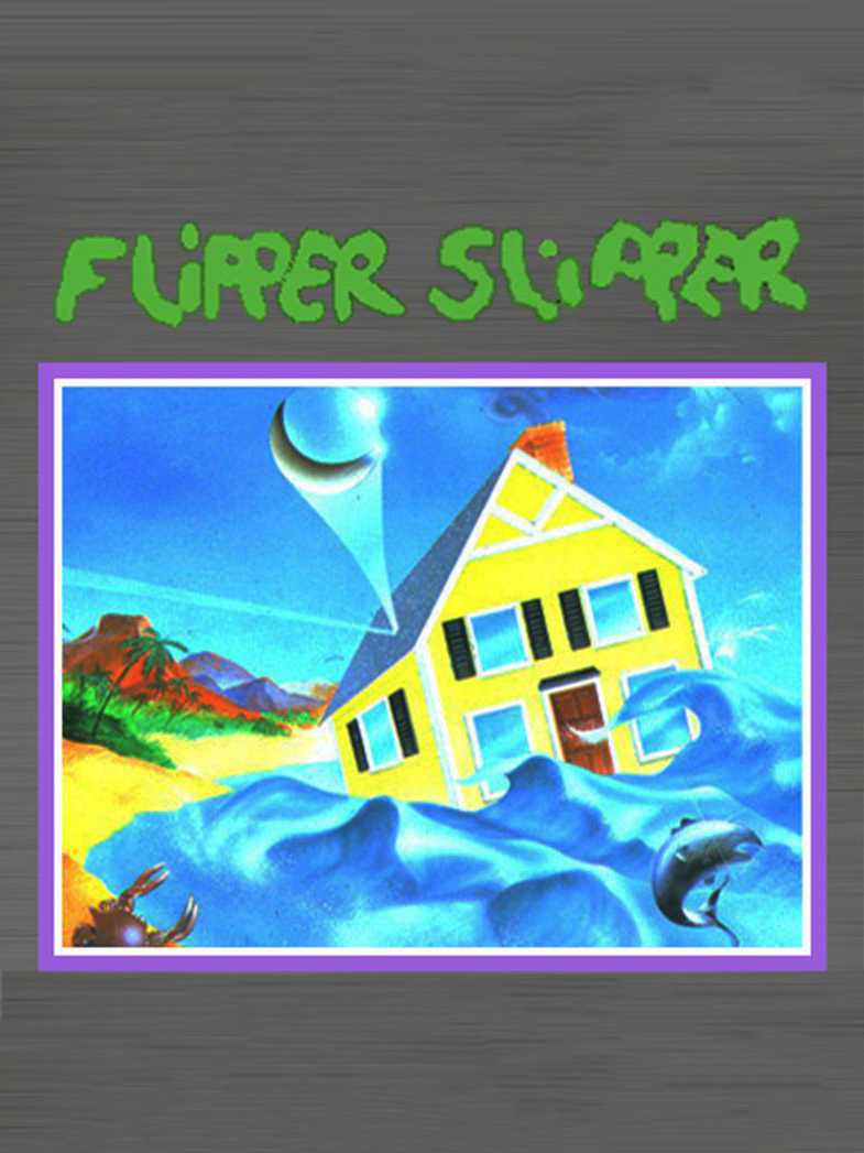 Flipper Slipper cover