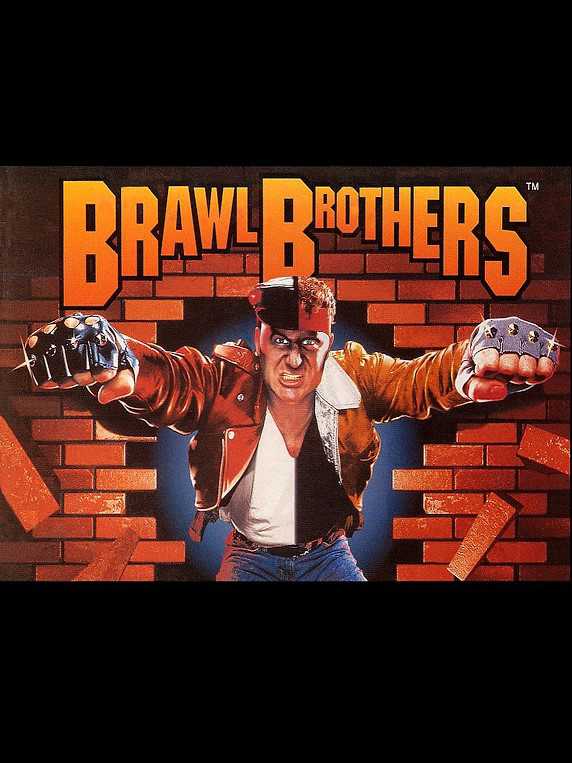 Brawl Brothers cover