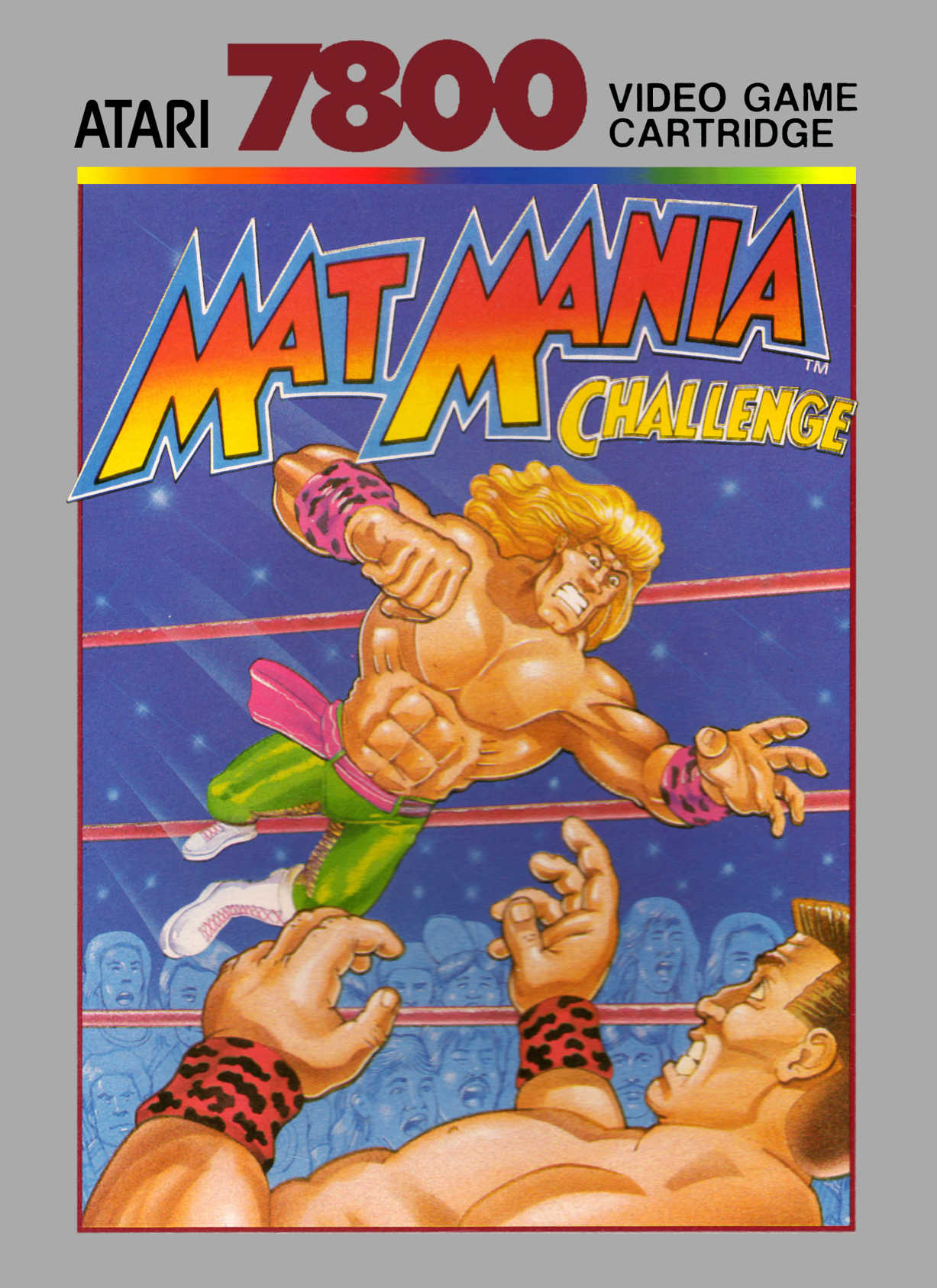 Mat Mania Challenge cover