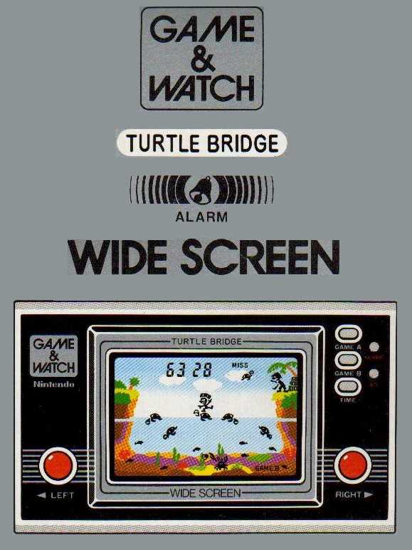 Turtle Bridge cover