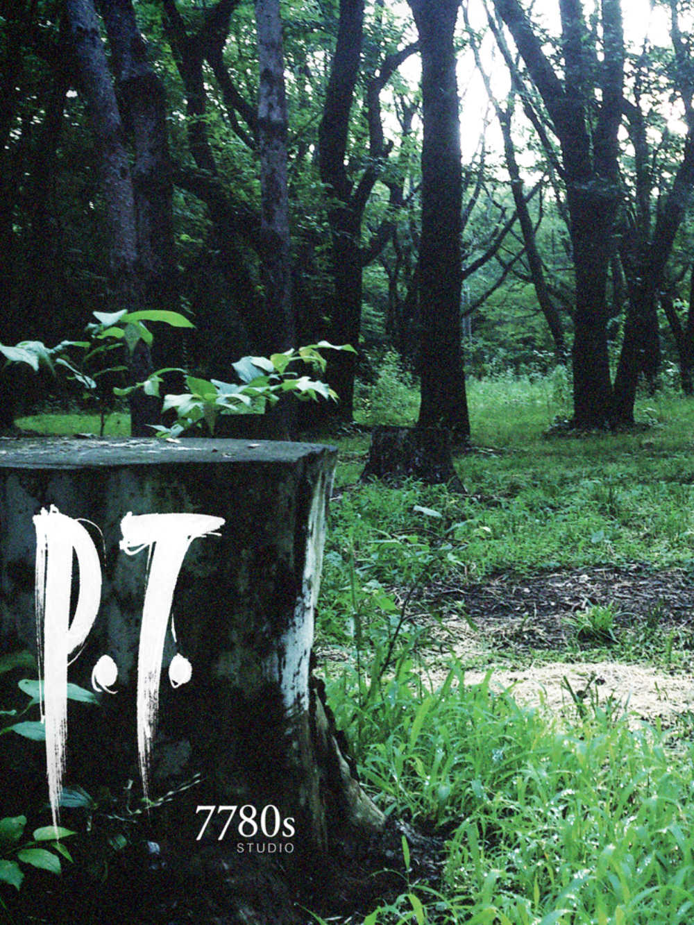 P.T. cover