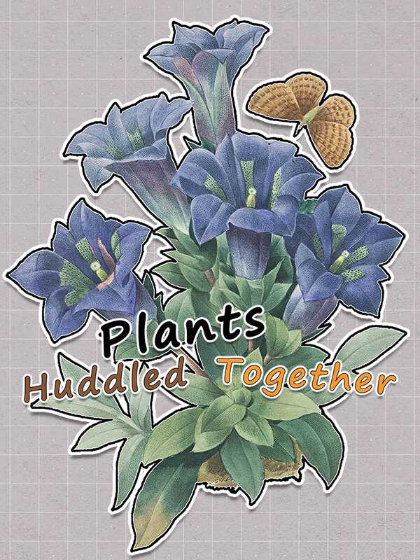 Plants Huddled Together cover