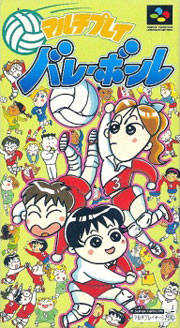 Multi Play Volleyball cover