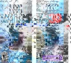 Reel Fishing Paradise 3D cover