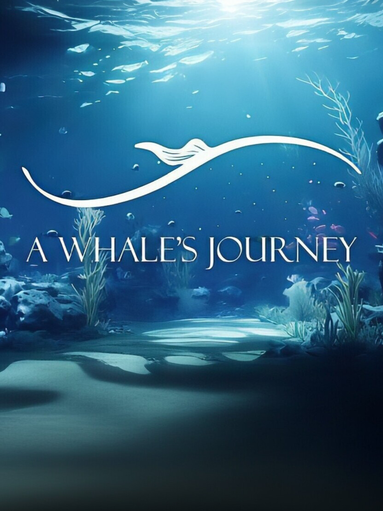 A Whale's Journey cover