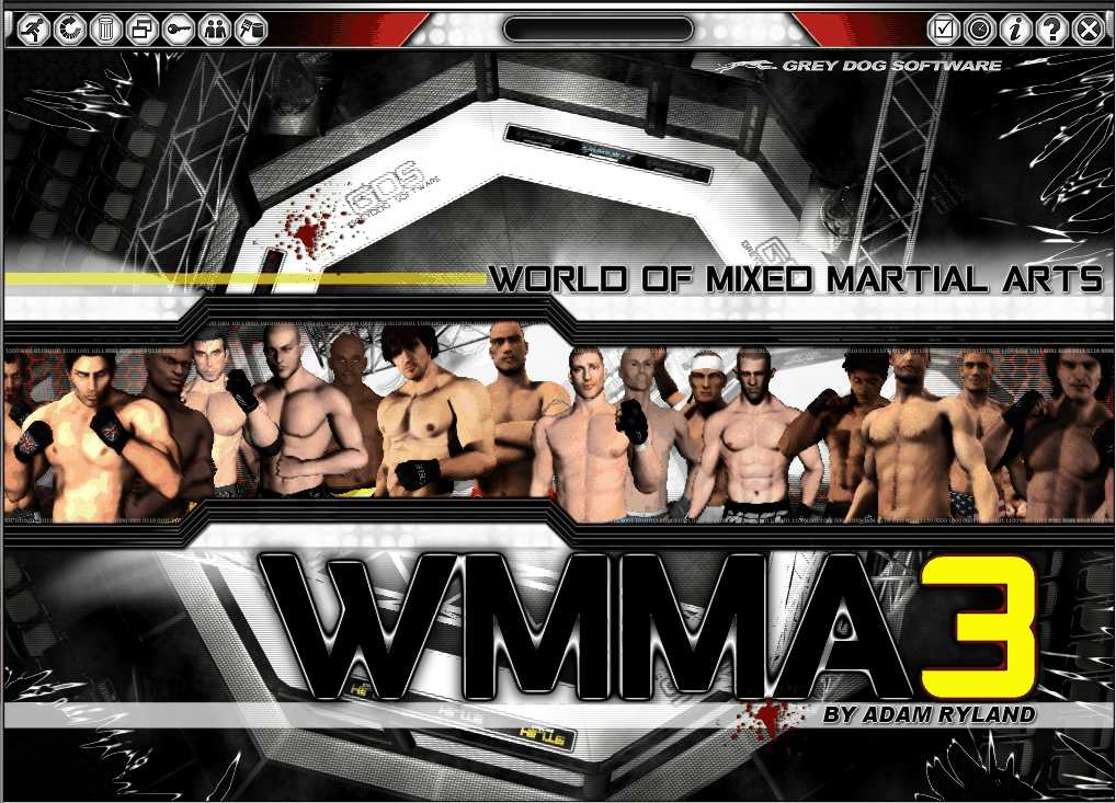 World of Mixed Martial Arts 3 cover