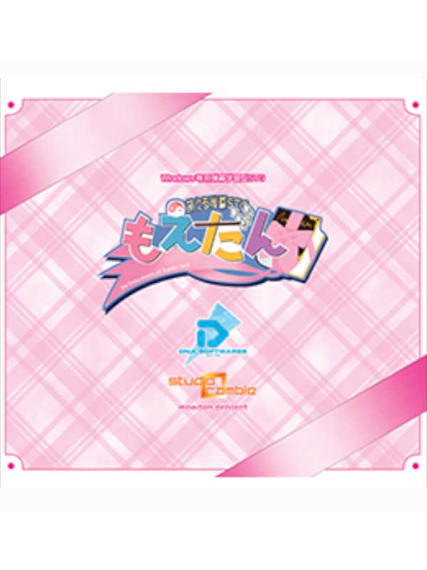 Moeru Danmaku STG Moedan cover
