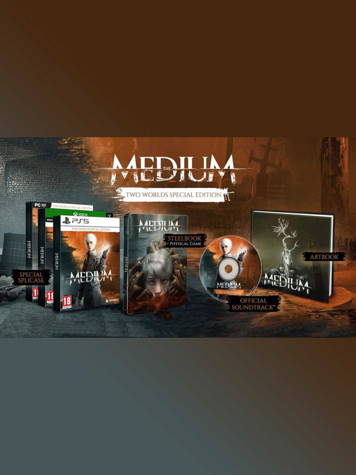 The Medium: Two Worlds Special Edition cover