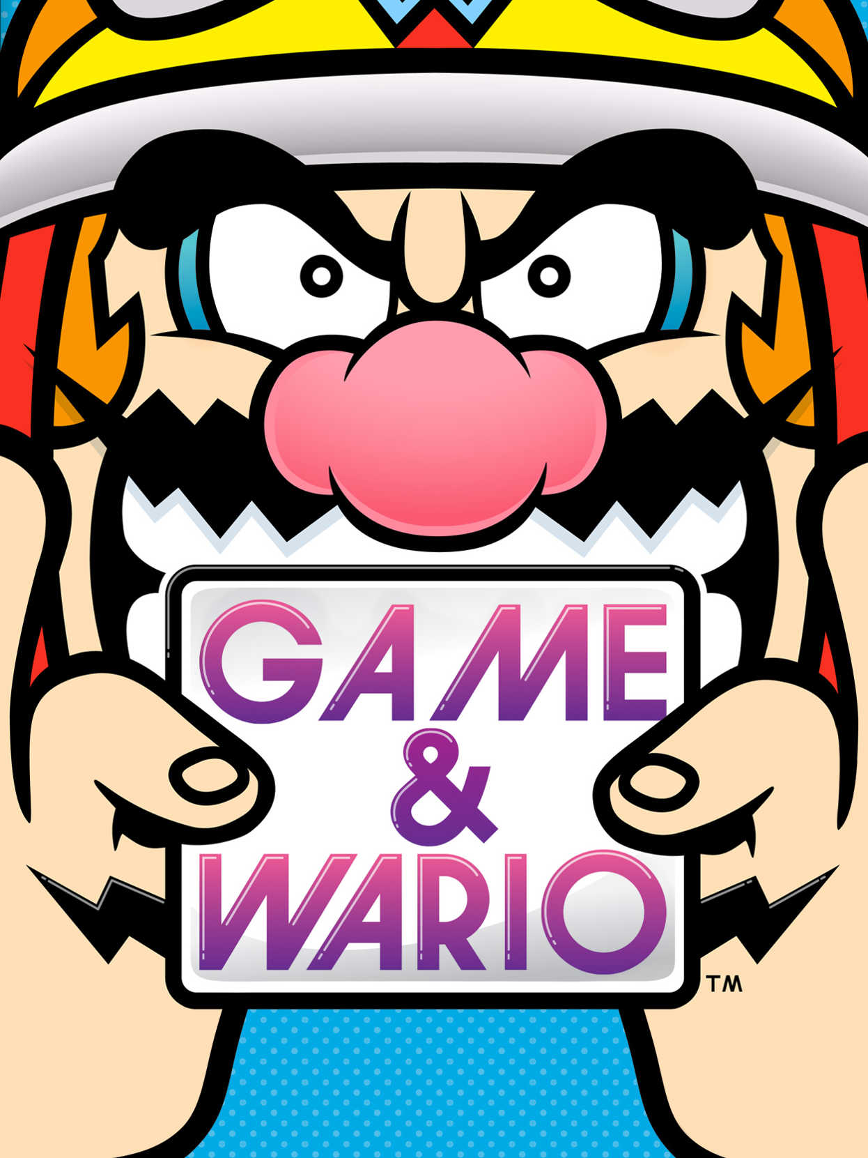 Game & Wario cover