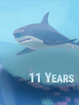 11 Years cover