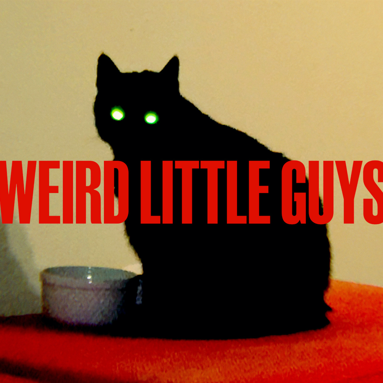 Weird Little Guys cover