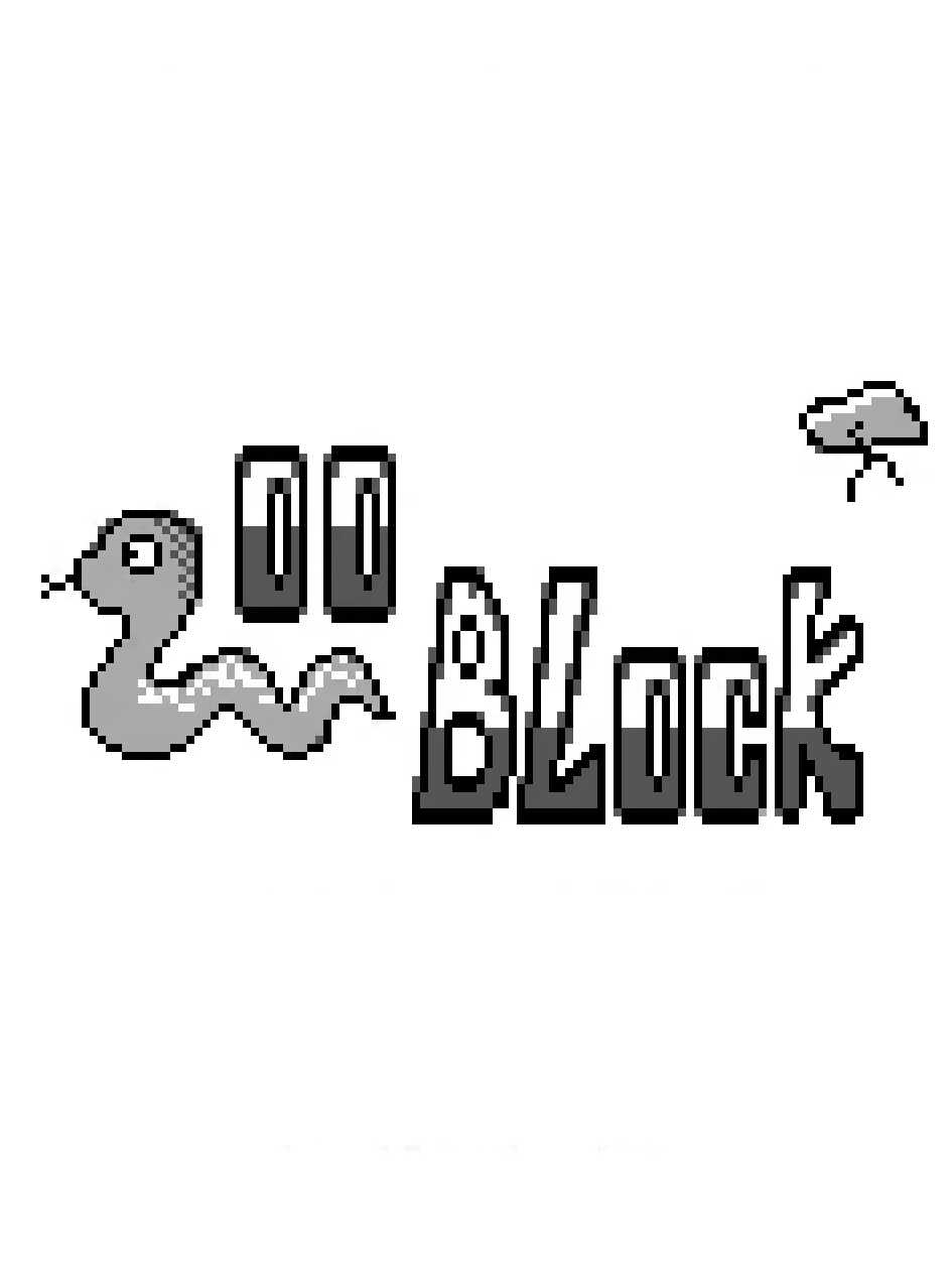 Zoo Block cover