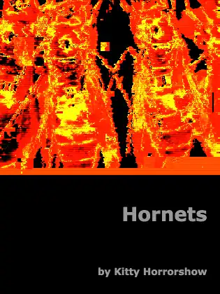 Hornets cover