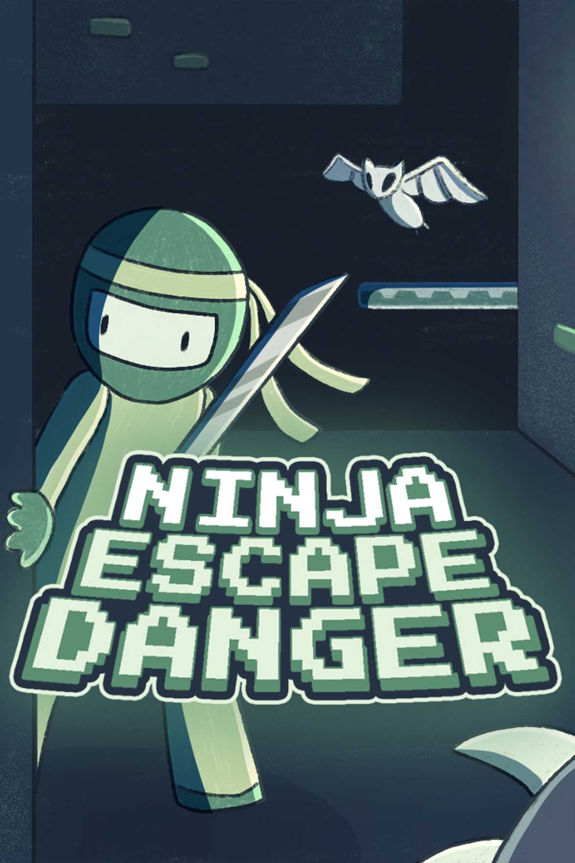 Ninja Escape Danger cover