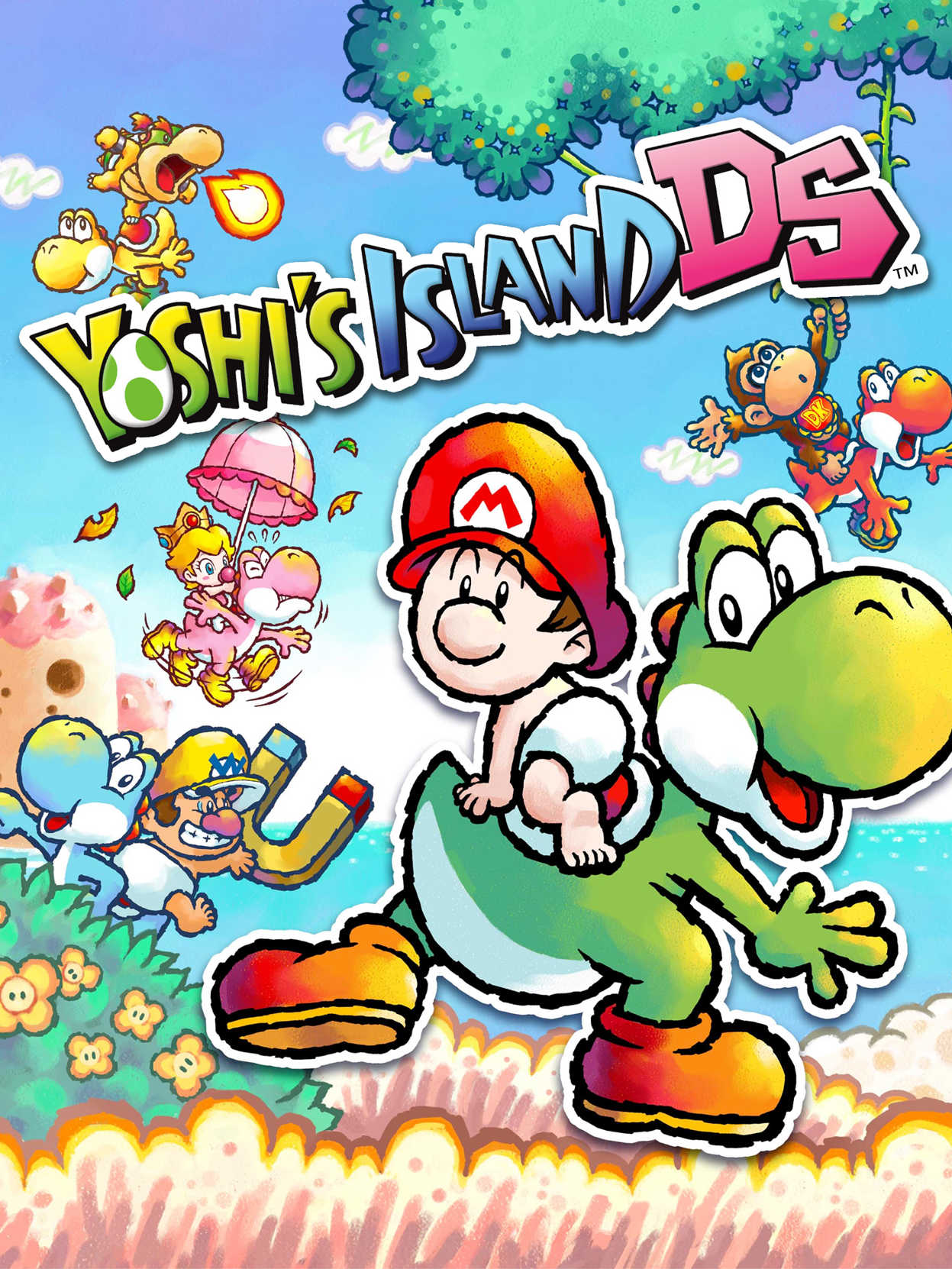 Yoshi's Island DS cover