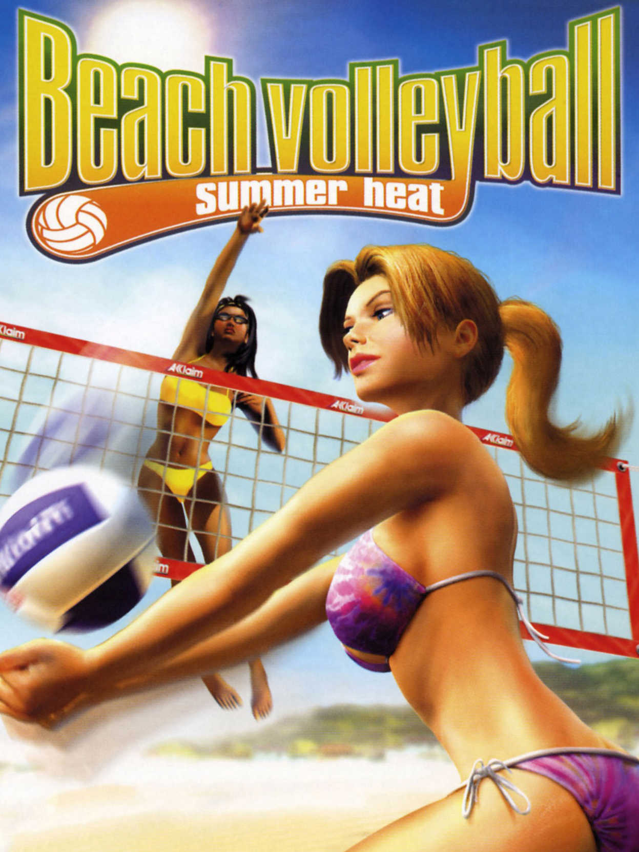 Summer Heat Beach Volleyball cover