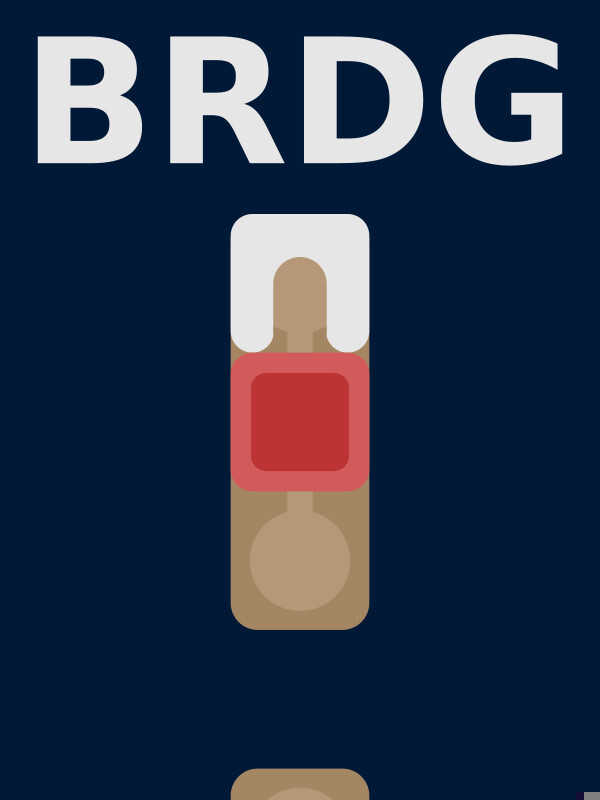 BRDG cover