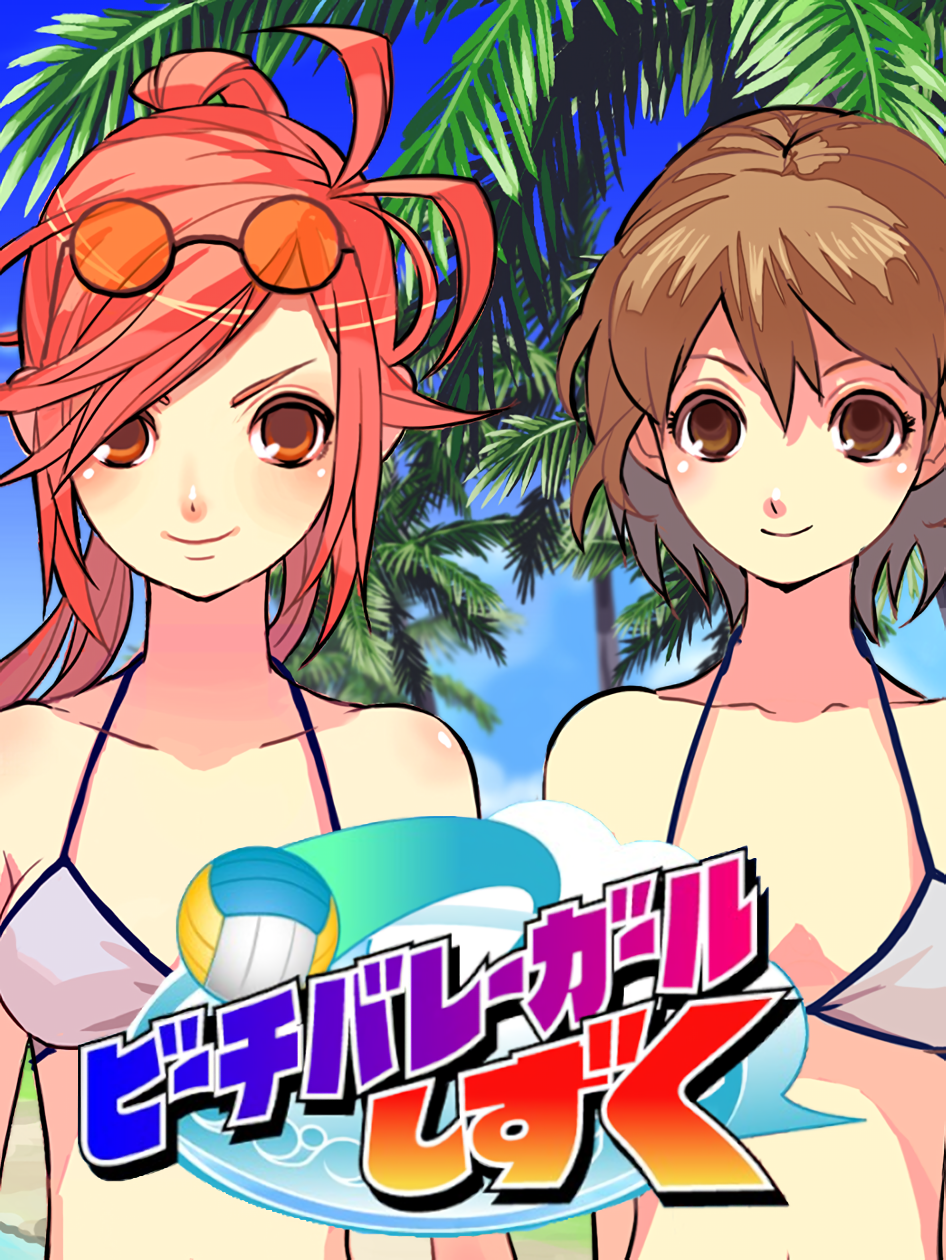 Beach Volleyball Girl Shizuku cover