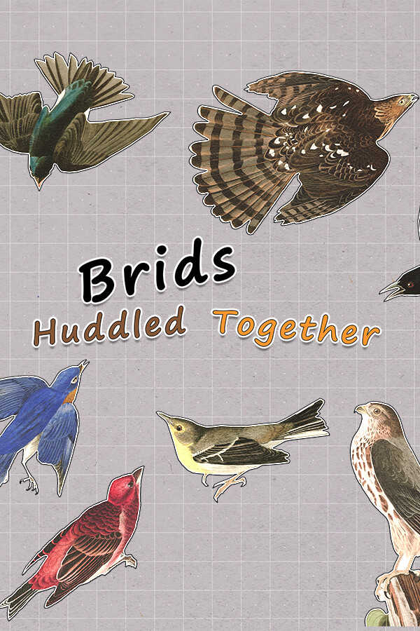 Brids Huddled Together cover