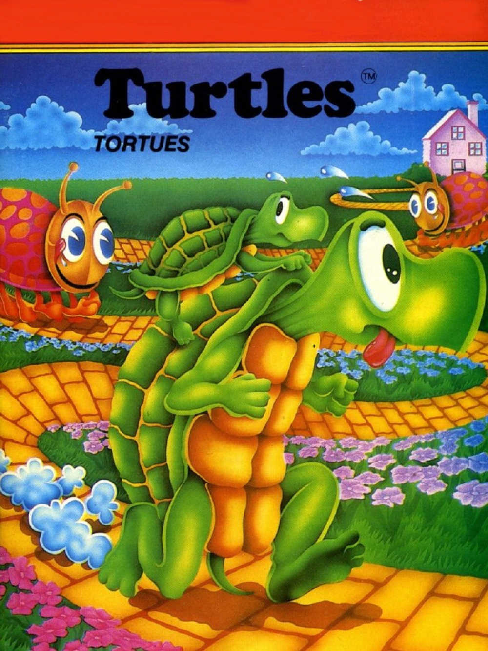 Turtles cover
