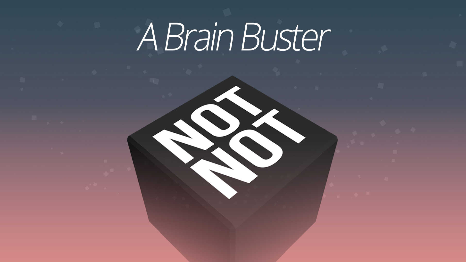 Not Not: A Brain Buster cover