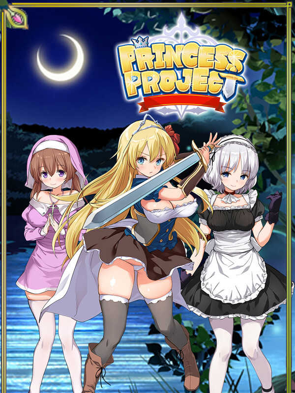 Princess Project cover