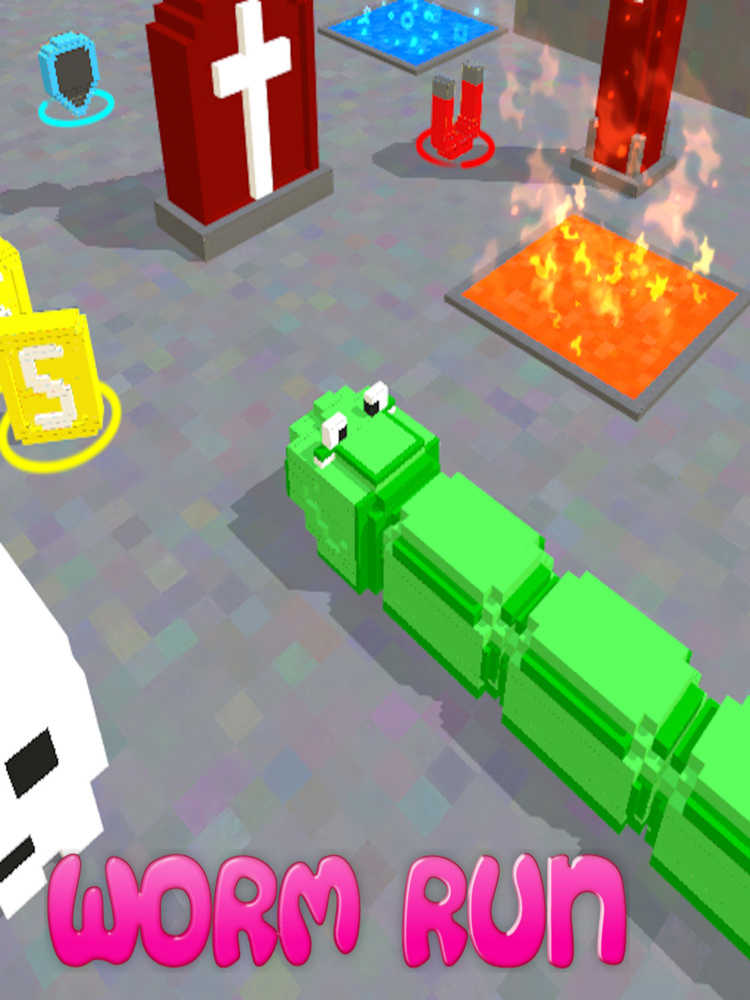 Worm Run cover