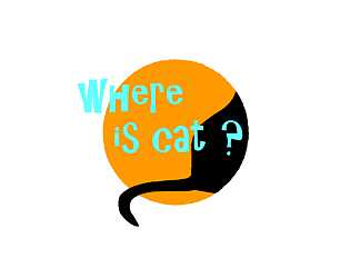 Where is cat? cover