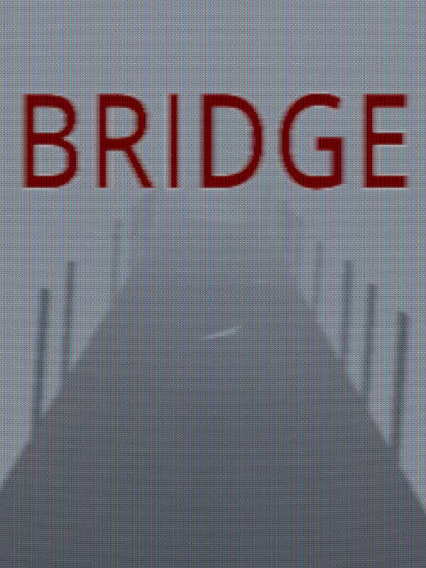 Bridge cover