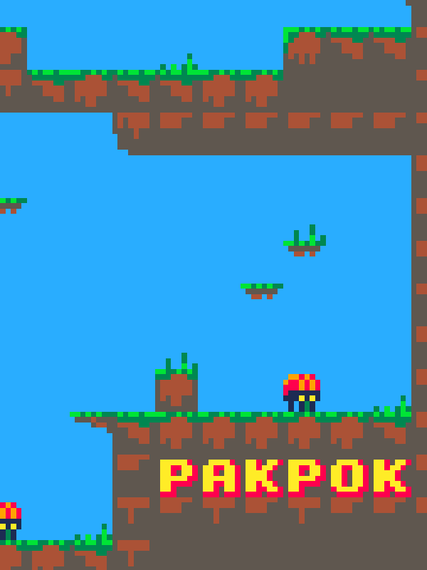 Pakpok cover
