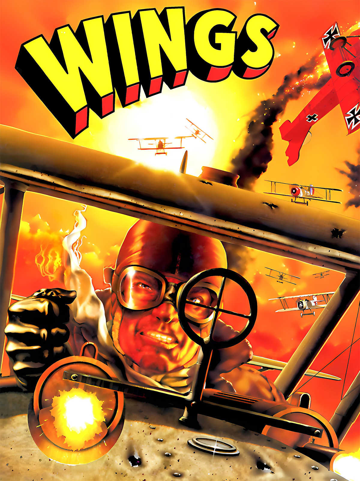 Wings cover