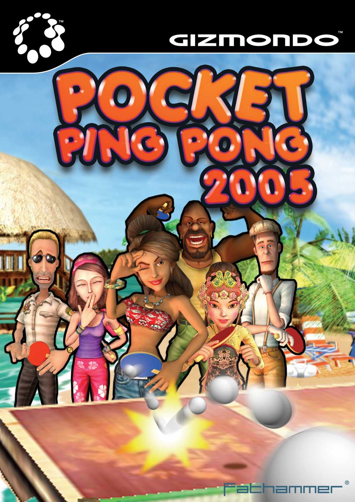 Pocket Ping Pong 2005 cover