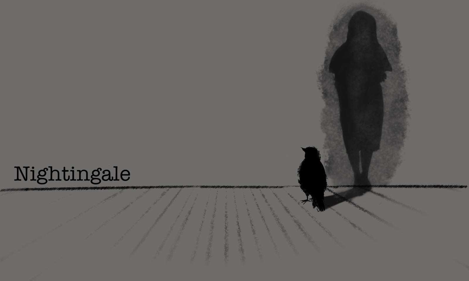 Reflections: Nightingale cover