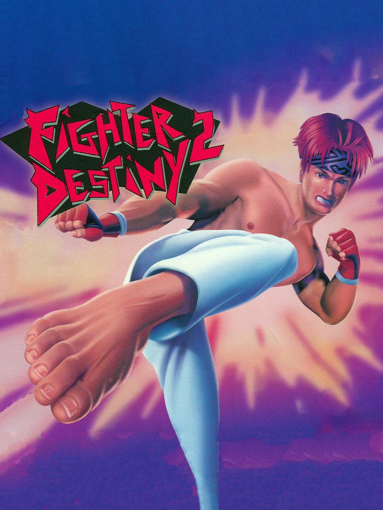 Fighter Destiny 2 cover
