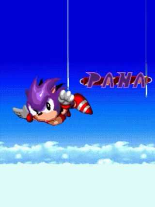 Pana der Hejhog cover