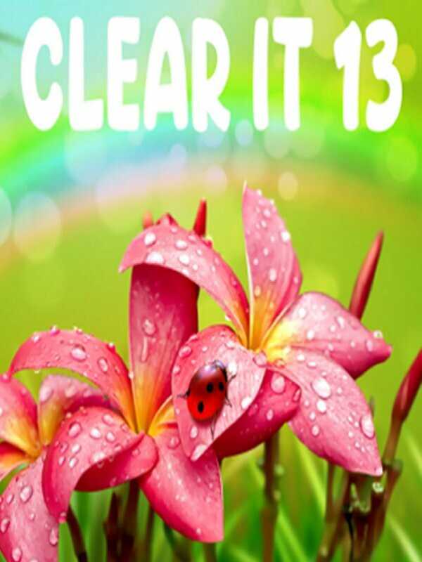 ClearIt 13 cover